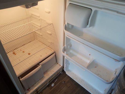 Affordable Housekeeping & Organization Services