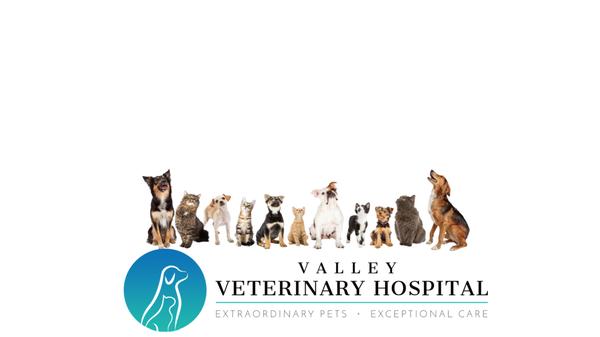 Valley Veterinary Hospital