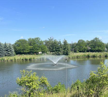 Thomas A Pawlowski, DO - UChicago Medicine