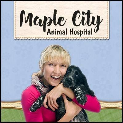 Maple City Animal Hospital