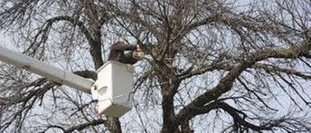 Durdel & Sons Landscaping & Tree Service