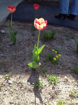 Partners For World Health