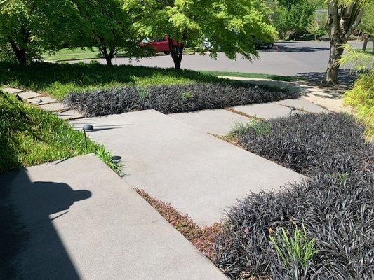 Top Tier Cleaning Service