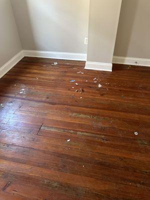 Detail Cleaning Solution