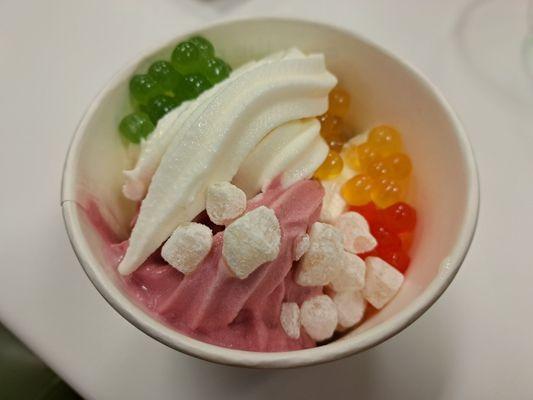 Plain, Raspberry Lactose Free, and Vanilla Lactose Free frozen yogurts. 3 popping boba flavors. Mochi.