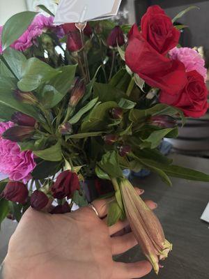 Oopsie Daisy Florist