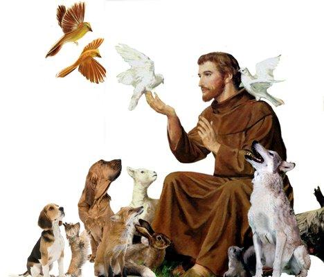 St. Francis Helping Hands