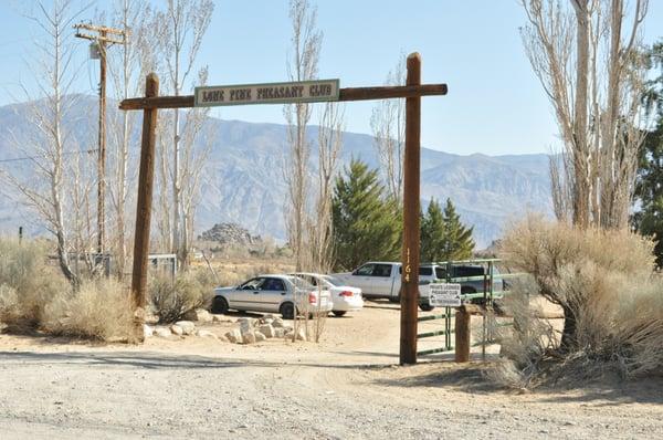 Lone Pine Pheasant Club