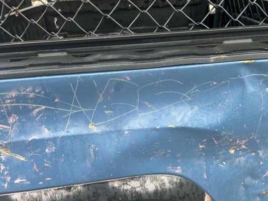 I made sure the police know I know they are better than me