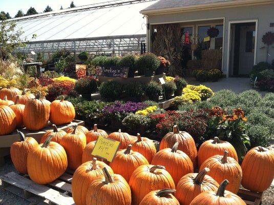 Turtle Creek Nursery & Landscaping