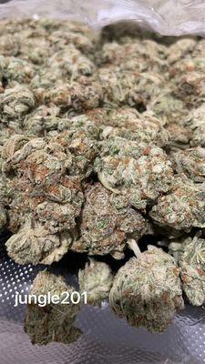 Jungle 201 from alt weed