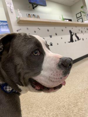 Second visit... just a check up