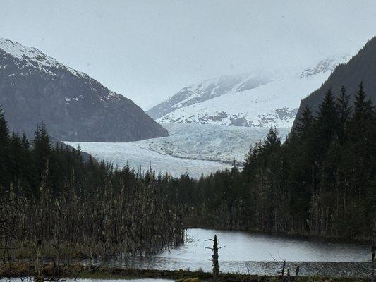 Glacier Taxi and Tours