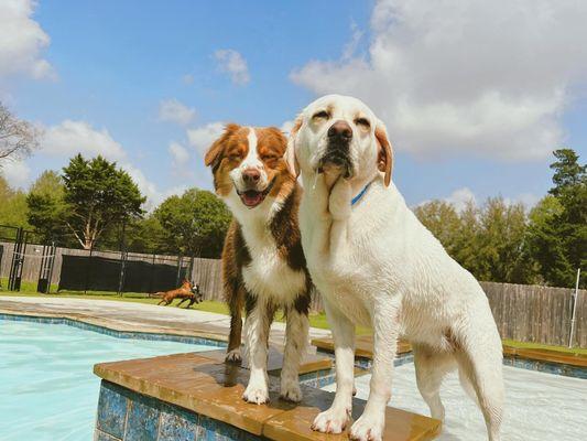 Circle B Bed 'n Biscuits