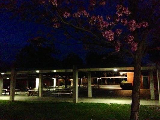 Sumner Danbury Elementary