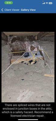 Boyle Property Inspection