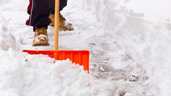 Med City Outdoor Services