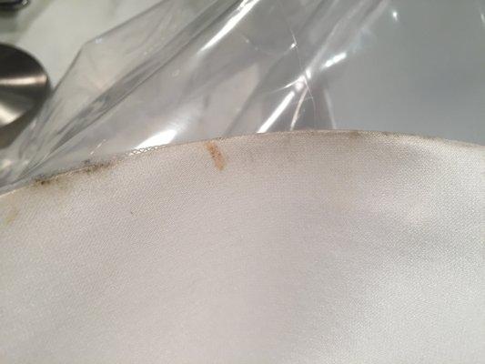 Professional Gown Preservation