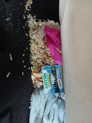 Floorboard backright seat