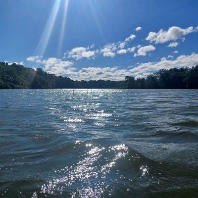 Speedwell Forge County Park