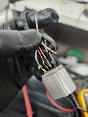 Jcs Mobile Detailing