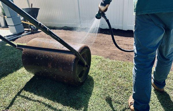 Sod Installation