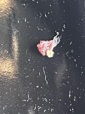 Pinnacle Pest Control