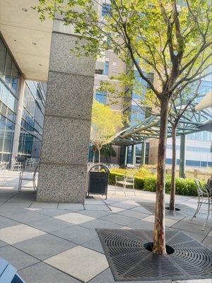 Shappiro family garden