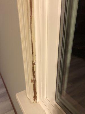 Window Nation-St. Louis