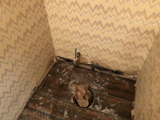 Paredes 336 Renovations