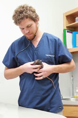 Dripping Springs Animal Hospital