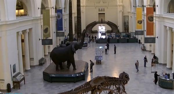 HD Video Surveillance Chicago. Stunning video for museums, warehouse, offices, apartments and condos.