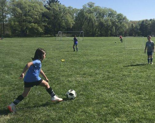 Stefano's Training Systems