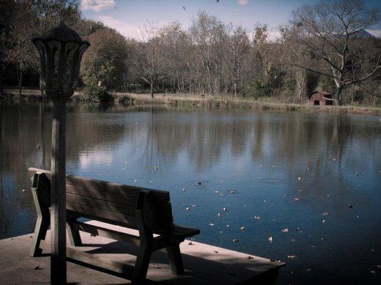 Relax on the bench by the pond