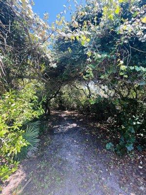 Jane Murray Brooks Park