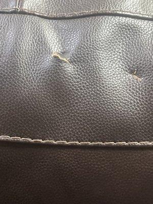 SureStay Plus Hotel By Best Western Blue Springs