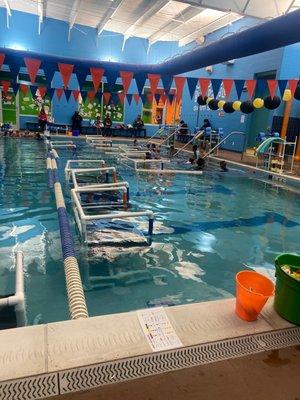 Bear Paddle Swim School - Louisville