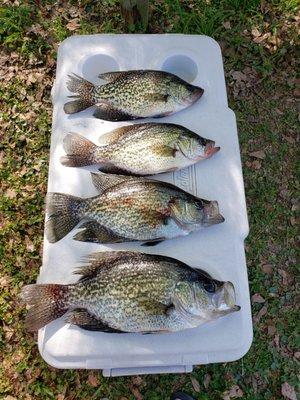 Jims Stucco & Plaster