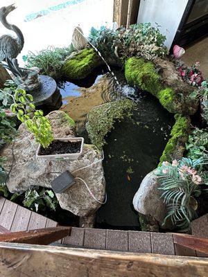 Fins, Furs N Feathers