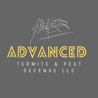 Advanced Termite and Pest Defense