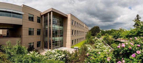 Lake Washington Institute Of Technology