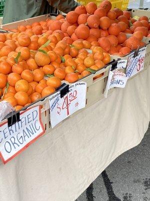 Schletewitz Family Farm