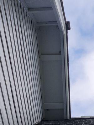 Peninsula Pest Control