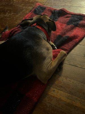 There have good chicken