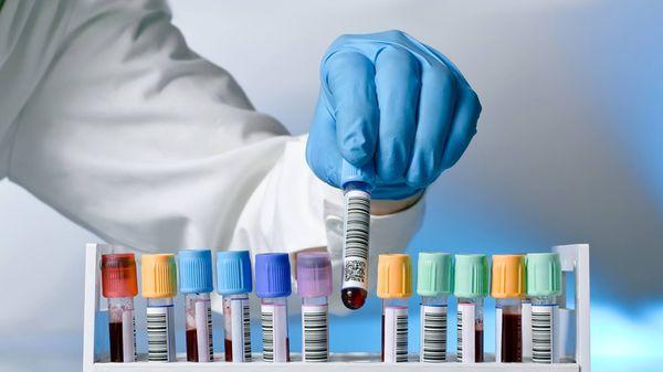 Gentle Touch Mobile Phlebotomy Service