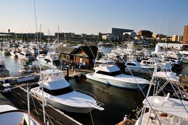 Maritime Insurance International