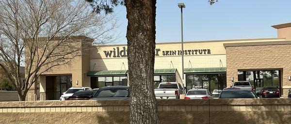 Wildflower Skin Institute