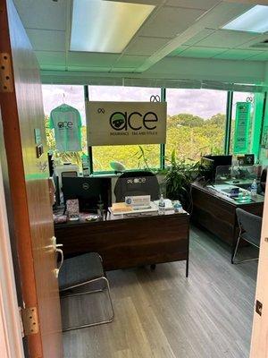 Ace Insurance Tag and Title II