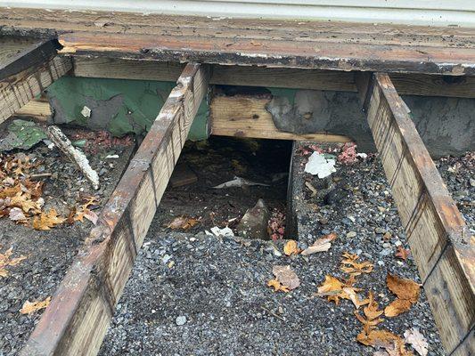 Shocker the room above this had mold and rotten framework. How do you not see a hole big enough to crawl through? Unreal...