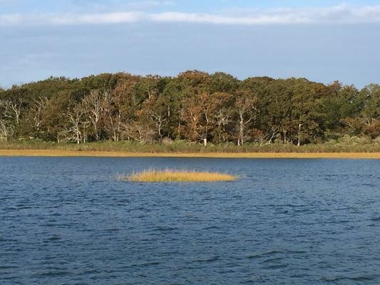 Gerard Drive on  Accabonac Harbor views East Hampton NY